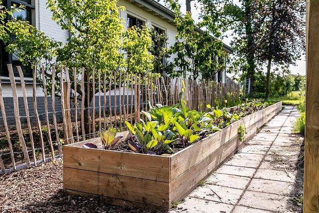 Oost ter Hout - Praktijkschool Haarlem - Groenvoorziening